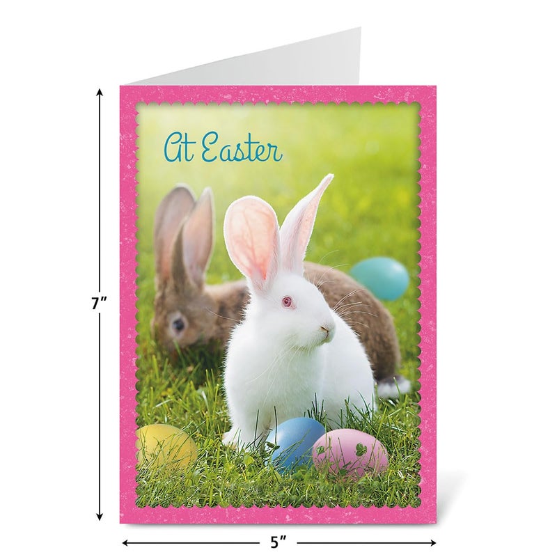 Current Photo Bunny Border Easter Greeting Card Set - Value Pack of 12 Cards for Kids & Adults With White Envelopes, 12 Design Prints, Large 5" x 7" Greetings - Image 5