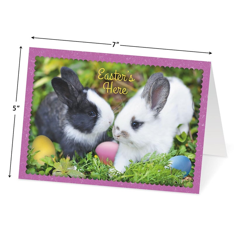 Current Photo Bunny Border Easter Greeting Card Set - Value Pack of 12 Cards for Kids & Adults With White Envelopes, 12 Design Prints, Large 5" x 7" Greetings - Image 4