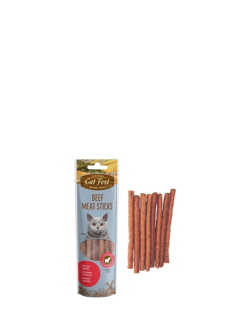 Cat Fest Meat Sticks For Cat  45g / Beef