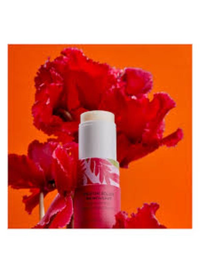 Roger & Gallet Gingembre Rouge Solid Perfume 5g - Image 3