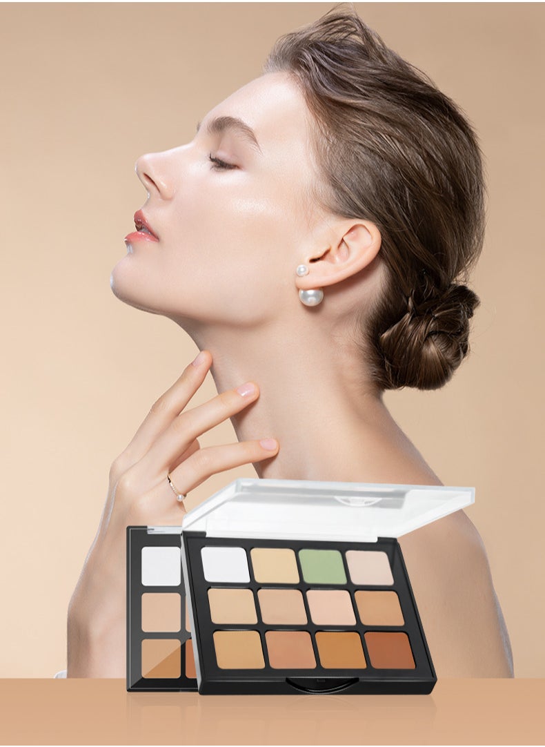 ARTMISS 12-shade Perfrction Concealer Palette  - Image 4