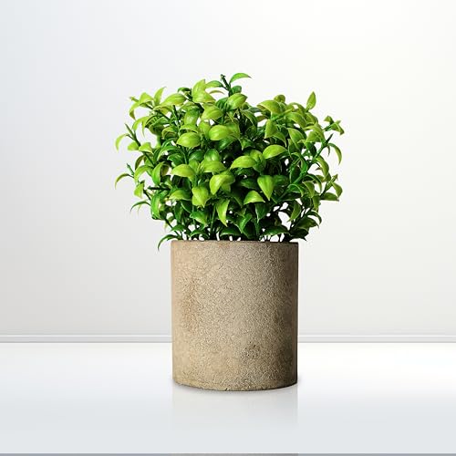 HOMEVERSE Artificial Green Leaf Plant with Pot| 3inch | Faux Greenery in Concrete Planter for Home Decor | Small Fake Plant for Bathroom, Kitchen, Office, Living Room, Shelf | Zero Maintenance (Green) - Image 1