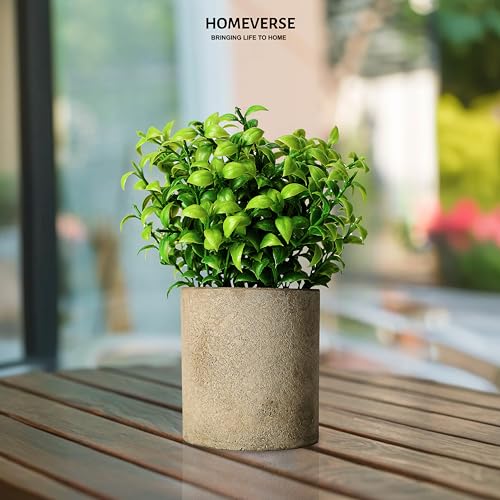HOMEVERSE Artificial Green Leaf Plant with Pot| 3inch | Faux Greenery in Concrete Planter for Home Decor | Small Fake Plant for Bathroom, Kitchen, Office, Living Room, Shelf | Zero Maintenance (Green) - Image 5