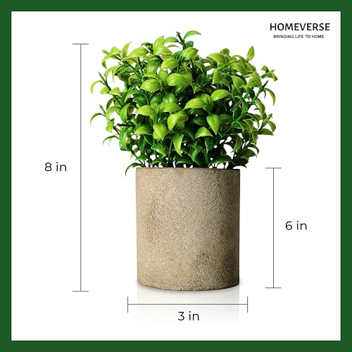 HOMEVERSE Artificial Green Leaf Plant with Pot| 3inch | Faux Greenery in Concrete Planter for Home Decor | Small Fake Plant for Bathroom, Kitchen, Office, Living Room, Shelf | Zero Maintenance (Green) - Image 3