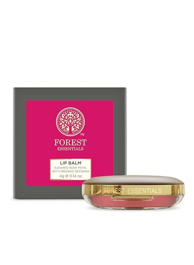 Forest Essentials Rose Lip Balm | Organic Nourishing Lip Balm | With Kokum Butter & Rose Petal Concentrate | Deeply Nourishes - Image 1