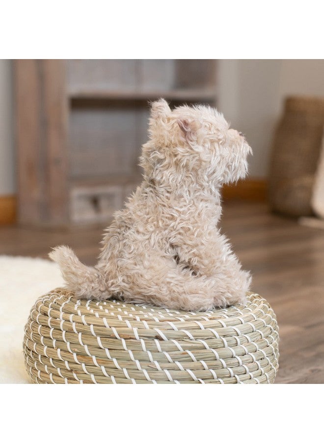 DEMDACO Chorkie Mix Rescue Breed Dog Soft Brown 10 inch Plush Fabric Stuffed Figure Toy - Image 4