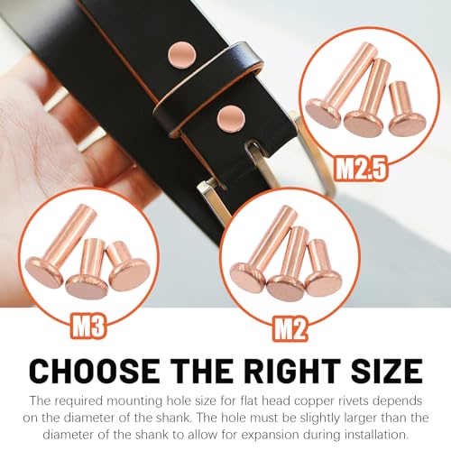 Tanstic 270Pcs Flat Head Copper Solid Rivets, M2x4/6/8, M2.5x5/8/10, M3x4/6/10 Solid Copper Rivets Fasteners for Electrical Applications Copper Finish Copper Tone - Image 4