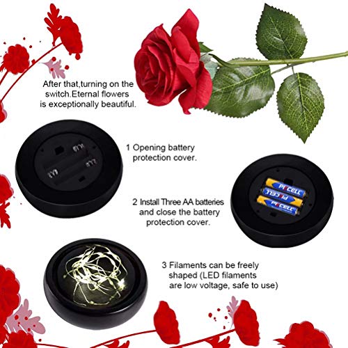 Deluxsa Enchanted Red Silk Rose,Beauty and the Beast Rose with Fallen Petals in A Light Dome,Home/Office or Home Decorations, Anniversary, Valentine's Day Christmas Gift - Image 5