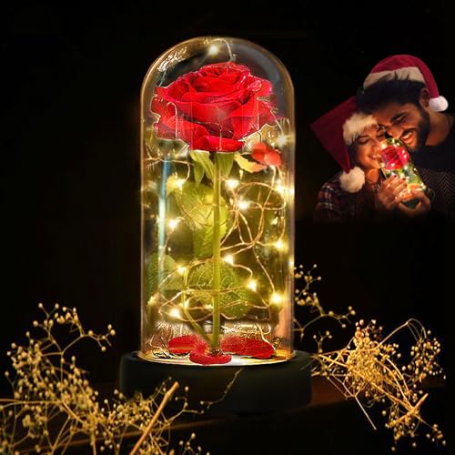 Deluxsa Enchanted Red Silk Rose,Beauty and the Beast Rose with Fallen Petals in A Light Dome,Home/Office or Home Decorations, Anniversary, Valentine's Day Christmas Gift - Image 1