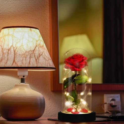 Deluxsa Enchanted Red Silk Rose,Beauty and the Beast Rose with Fallen Petals in A Light Dome,Home/Office or Home Decorations, Anniversary, Valentine's Day Christmas Gift - Image 2