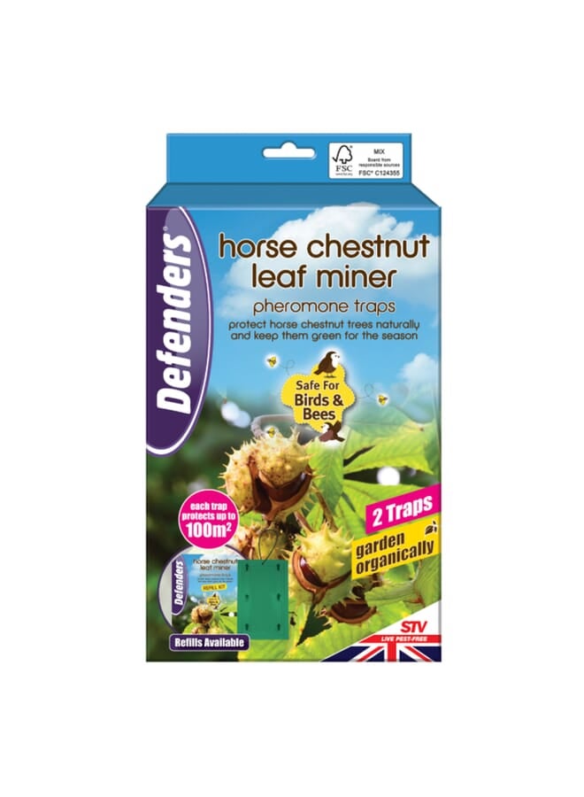 STV Horse Chestnut Leaf Miner Trap - Twinpack - Image 1
