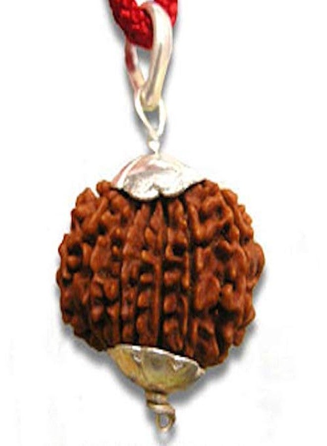 TheGalaxy 13 Mukhi Rudraksha Silver Plated Pendent Superfine Nepal Rudraksha Quality - Image 1