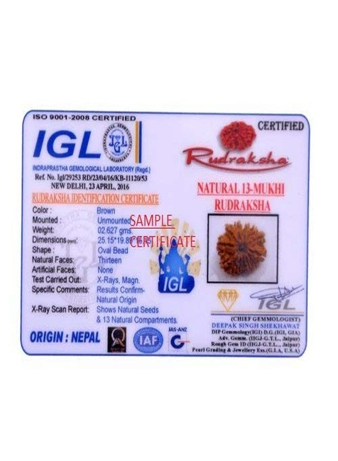 TheGalaxy 13 Mukhi Rudraksha Silver Plated Pendent Superfine Nepal Rudraksha Quality - Image 4