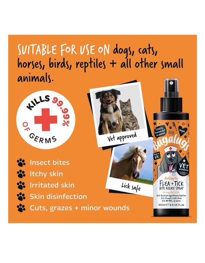 Bugalugs Antiseptic Flea & Tick Bite Relief Spray 200ml (6.8 fl oz) - Image 4
