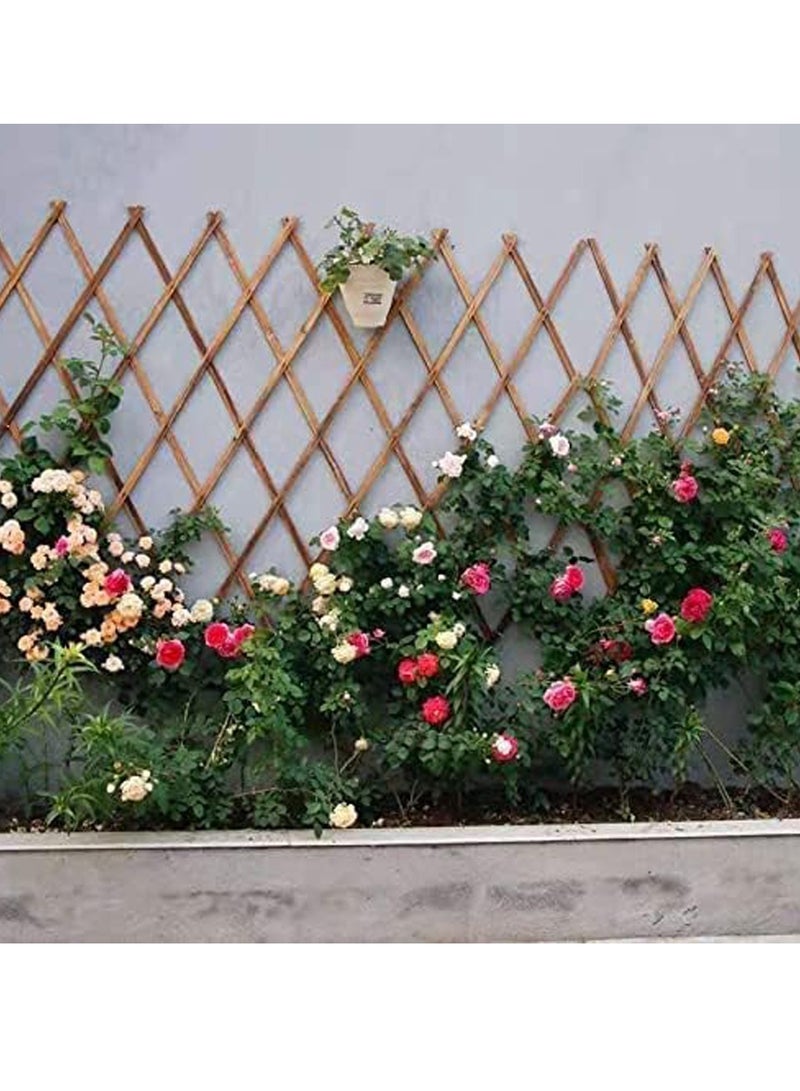 FFD Expandable Wooden Garden Fence 75x22cm- Bamboo Wicker Trellis for Climbing Plants & Flowers | Decorative Outdoor Support Frame - Image 4