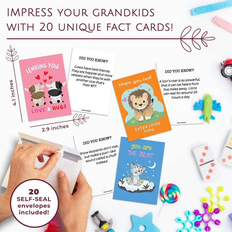 Hat Acrobat Thinking of You Cards with Envelopes - 20 Uniquely Designed Just Because Cards with Fact Cards to Send to Stay in Touch with Family, Friends, Colleagues, Students (40) - Image 4