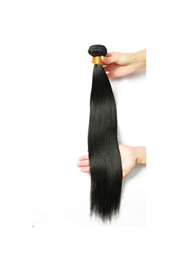 Risbaer Brazilian Virgin Hair Straight Remy Human Hair Extensions Bundles 100g Natural Black Color Single Bundle 20 inch - Image 1