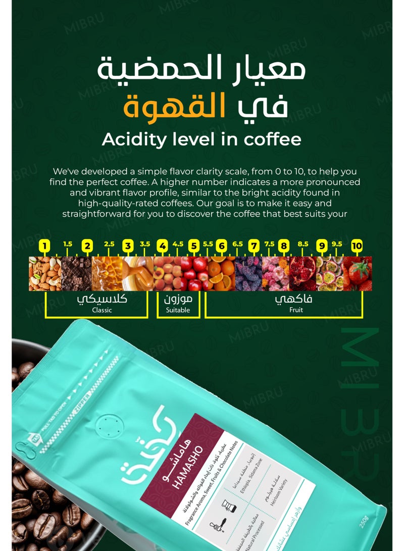 KIFFA Specialty Coffee Beans for V60 and Espresso Corps Roasted Hamasho Ethiopia (250g) Unground roasted - Whole Beans - Image 4