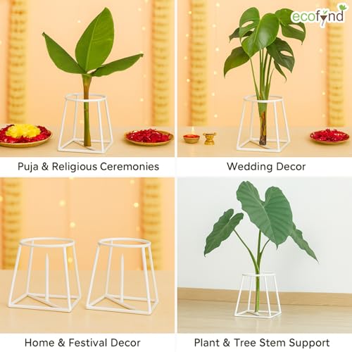 ecofynd Metal White Banana Plant Stand, Pack of 2 Heavy Decorative Leaf Stand for Plant, Tree, Stem, Ideal for Home Festival Decor, Placing Puja, Religious & Other Ceremonies Use - Image 5