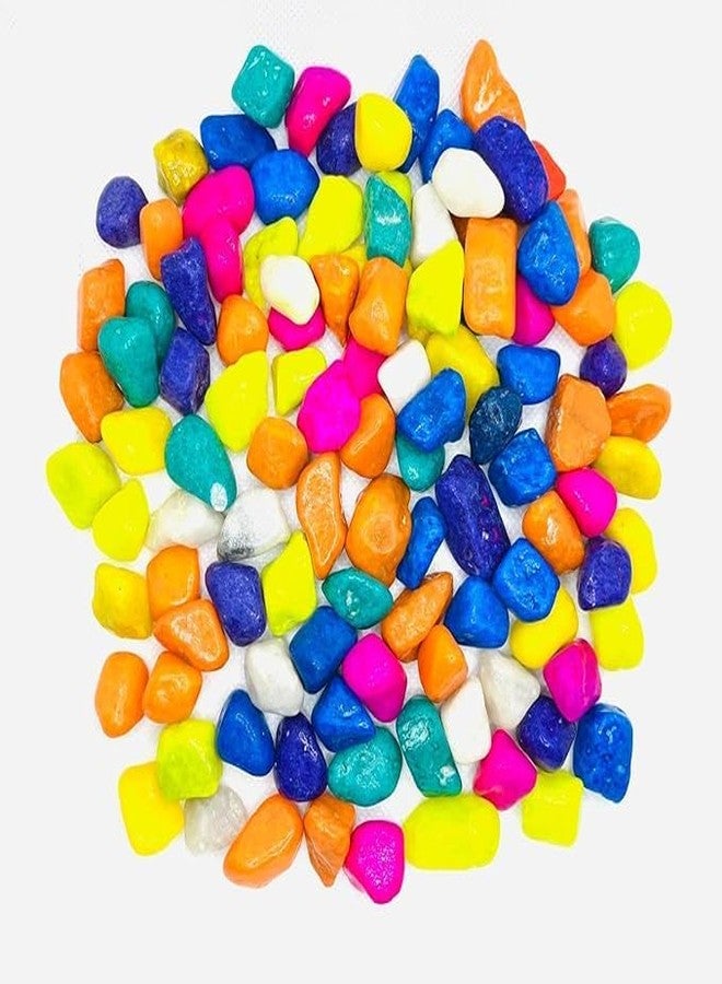 Baba Ka Deewana Multi Colored Pebbles Decorative Stones for Home Decor (Natural Multi Color, 1 kg) - Image 1