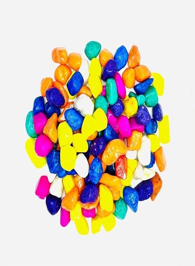 Baba Ka Deewana Multi Colored Pebbles Decorative Stones for Home Decor (Natural Multi Color, 1 kg) - Image 4