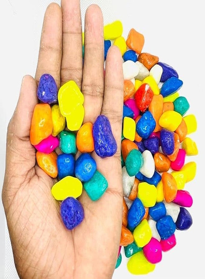 Baba Ka Deewana Multi Colored Pebbles Decorative Stones for Home Decor (Natural Multi Color, 1 kg) - Image 2