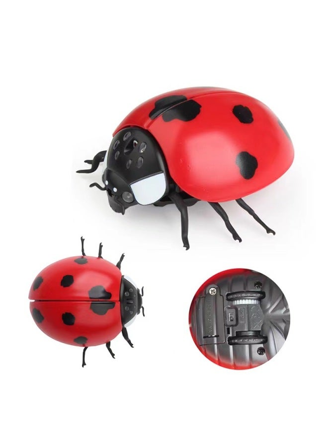TikTok Explosions Strange Simulation Remote Control Animal Infrared Trick Remote Control Snake Remote Control Caterpillar Toy-Color:Remote Control Ladybug 9922 - Image 5