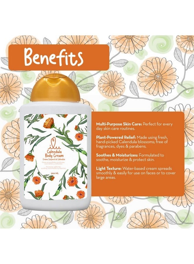ILU Calendula body Cream (300 ml) - Multi-Purpose Skin Care, Plant-Powered Relief, Water-based cream spreads smoothly & easily for use on faces or to cover large areas. - Image 3