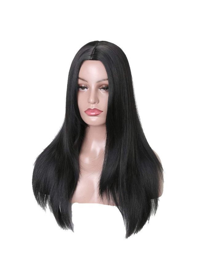 Foreign Holics - Synthetic Straight Full Head Women Wig Heat Resistant 24 Inches Long Free Wig Cap (Straight) - Image 1