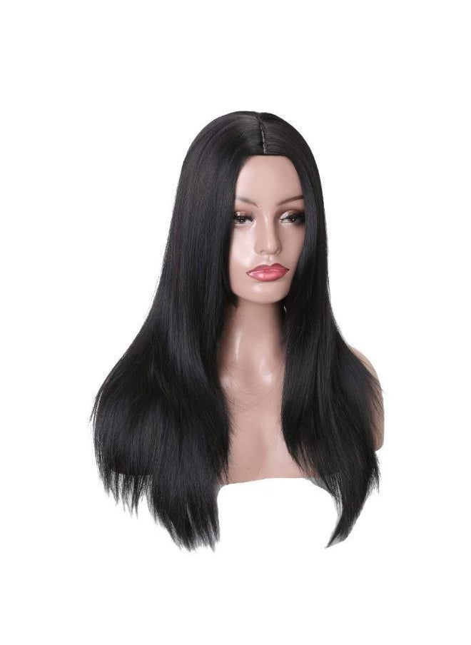 Foreign Holics - Synthetic Straight Full Head Women Wig Heat Resistant 24 Inches Long Free Wig Cap (Straight) - Image 1