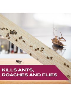 STEM Stem Kills Ants, Roaches And Flies: Plant-Based Active Ingredient Bug Spray, Botanical Insecticide For Indoor And Outdoor Use; 12 fl oz (Pack Of 1)  - Image 2