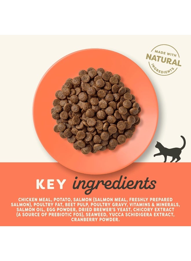 Applaws أبلاوز كات دجاج وسالمون 2 كجم - Image 2