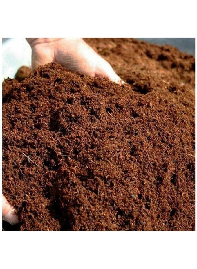 Premium Organic Coco Coir Growing Medium, Rich Potting Mix for Plants-3 KG - Image 2