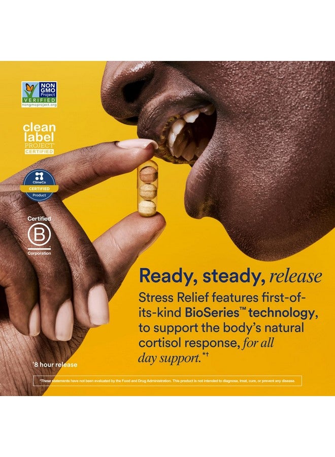 Ritual Stress Relief Supplement BioSeries with 8-Hour Release to Support Natural Cortisol Response and Promote Calm (Shoden® Ashwagandha, Suntheanine® L-Theanine, and Saffron as affron®*) 30 Day - Image 2