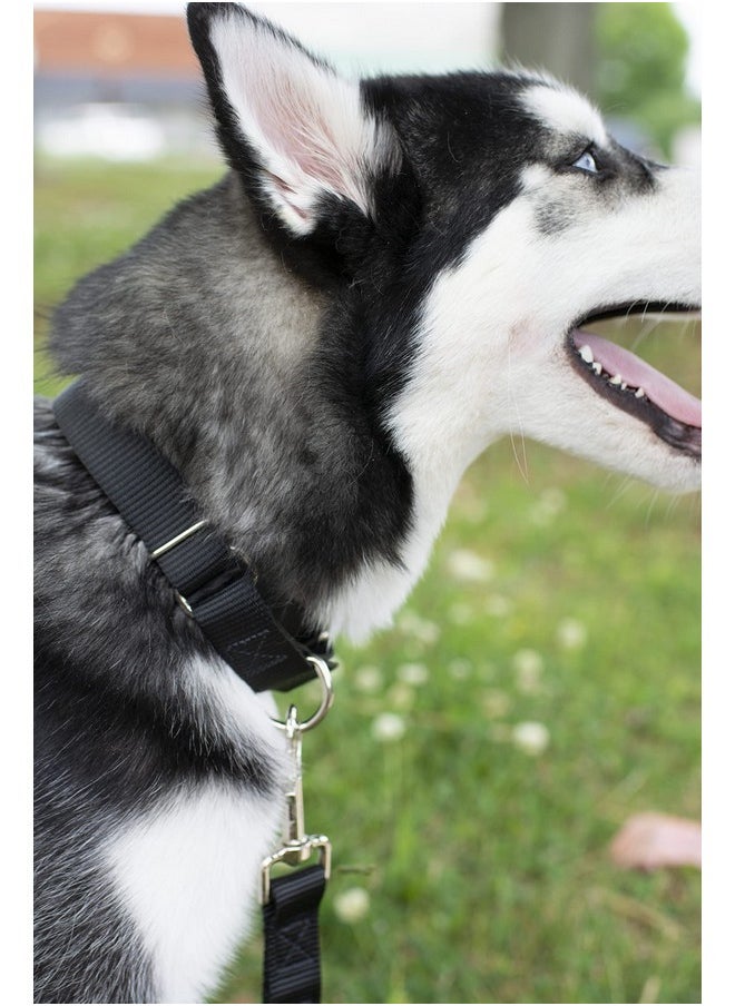 Country Brook Design Country Brook Petz 1" Wide Heavy-Duty Nylon Leash for Dogs - Traditional Style Durable Leash with Easy-to-Use Snap - Made in The USA, Black, 6 Foot  - Image 3