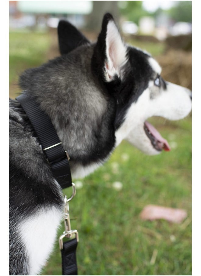 Country Brook Design Country Brook Petz 1" Wide Heavy-Duty Nylon Leash for Dogs - Traditional Style Durable Leash with Easy-to-Use Snap - Made in The USA, Black, 6 Foot  - Image 2