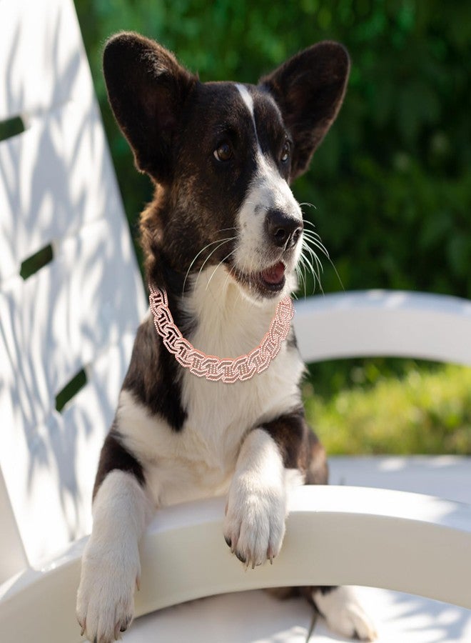 كولودوغو طوق كلاب مرصع بالألماس، ذهبي وردي، سلسلة معدنية للمشي، طوق بتصميم أنيق وإبزيم آمن، إكسسوارات مجوهرات للحيوانات الأليفة، مناسب للكلاب والقطط الصغيرة والمتوسطة والكبيرة. - Image 3