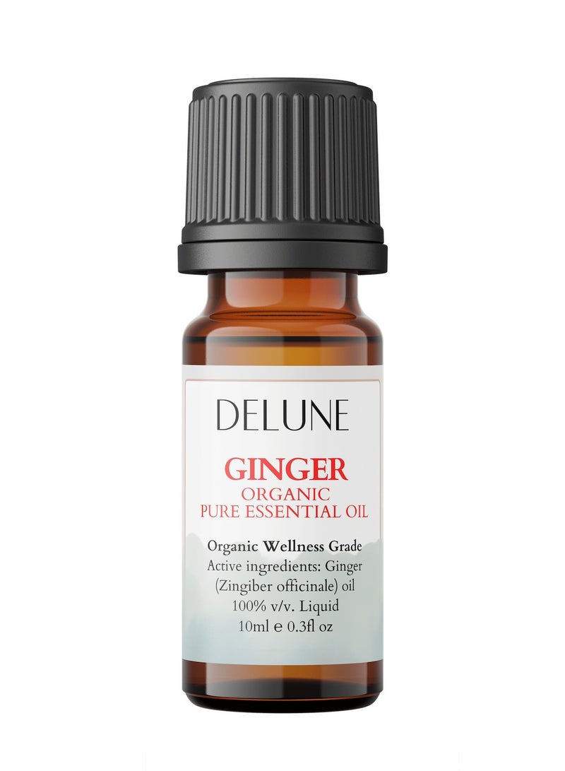 Delune Ginger Organic Wellness Grade Essential Oil - Image 1