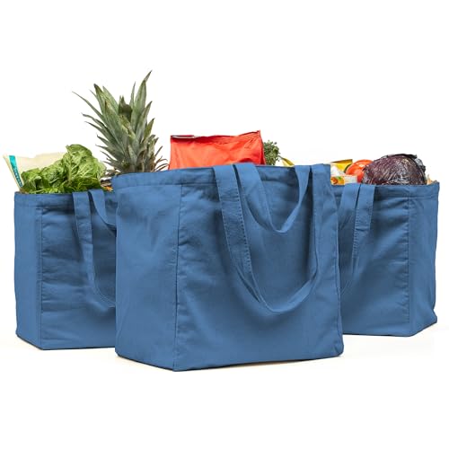 VeraMia Canvas Grocery Bag 3pc Jumbo Set with Real Pockets Long Shoulder Strap and Short Handle Reusable Shopping Bags for Groceries Heavy Duty Foldable Washable Grocery Tote Bag Sky Blue - Image 1
