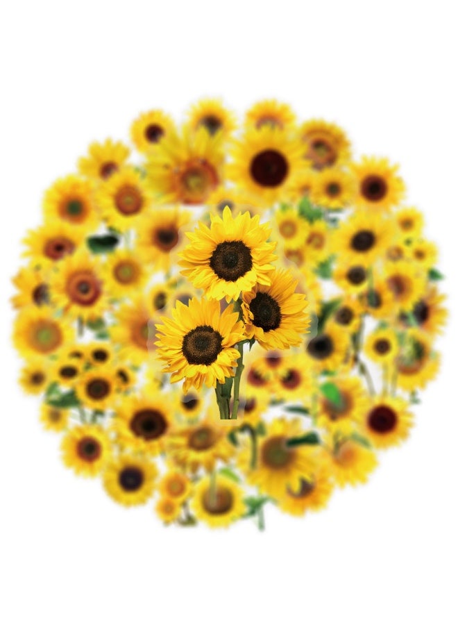 ملصقات عباد الشمس، 50 قطعة، ملصقات عباد الشمس الشفافة الواقعية، ملصقات مقاومة للماء لأجهزة الكمبيوتر المحمول والقرطاسية والأمتعة وسجلات القصاصات وزجاجات المياه وحافظات الهواتف وديكورات الحفلات ذات الطابع الزهري - Image 4