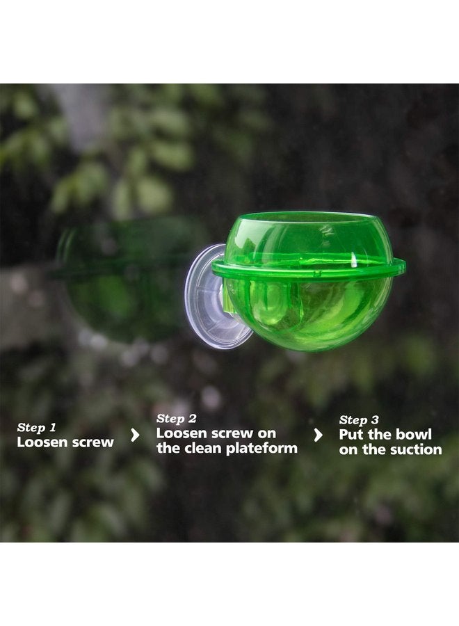 AUEAR, 2 Pack Reptiles Suction Cup Feeder Chameleon Feeding Food Cricket Bowl Water Dish Gecko Ledge Supplies Accessories for Gecko Lizard Bearded Dragon - Image 3