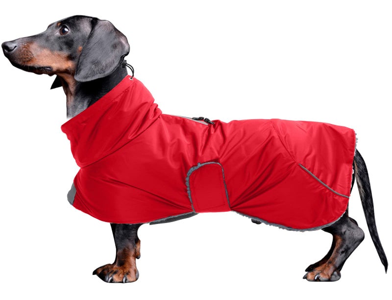 Morezi Dachshund Coats Waterproof Perfect for Dachshunds Sausage Weiner Dog Winter Coat with Padded Fleece Puppy Snowsuit with Adjustable Bands and High Vis Reflective Trim Red L - Image 2
