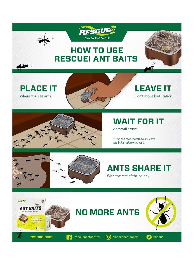 RESCUE Ant Baits 4 Bait Stations - Image 2