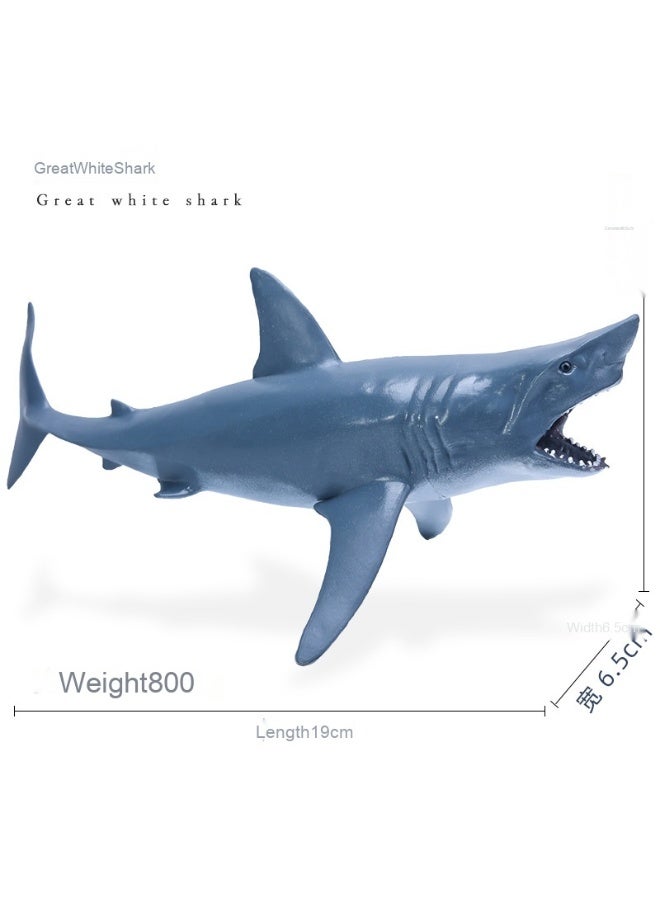 NIBEMINENT Realistic Ocean Creatures Model - Shark and Blue Whale Toys