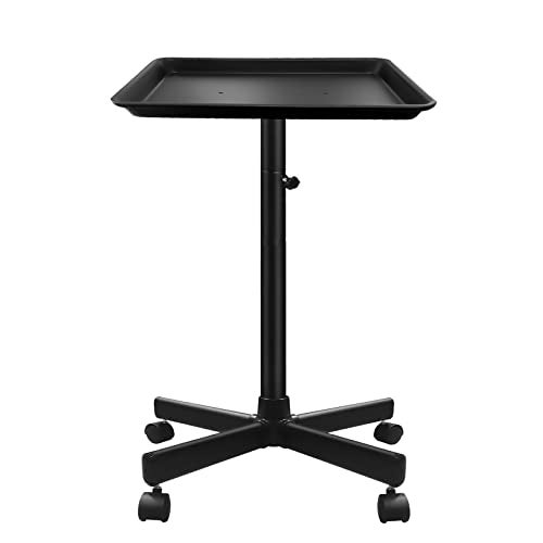 Takeashine Salon Tray, Metal Feet Salon Rolling Tray Cart, Salon Color Tray, Tattoo Tray with Wheels, Instrument Tray for Salon&Spa Use Black… - Image 1