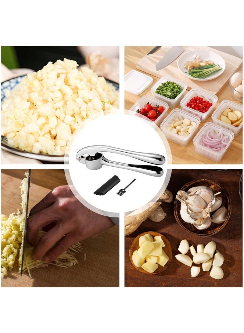 مطحنة ثوم يدوية كبيرة الحجم أداة مطبخ لهرس الثوم مع فرشاة تنظيف وقشارة 3 قطع - Image 2