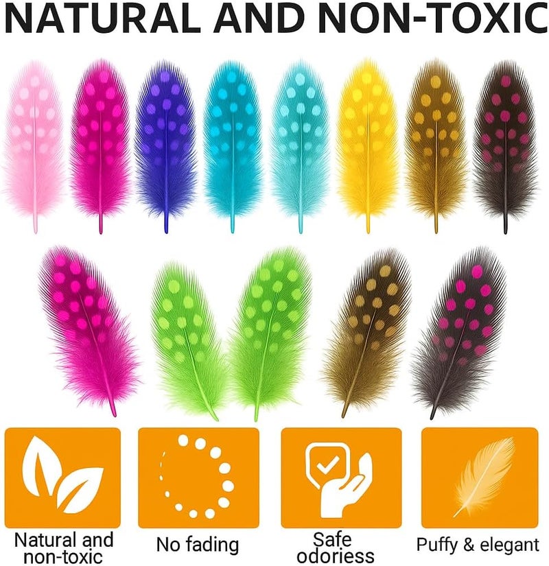 Fitto Feathers 12 PC Mix Color for Crafts, DIY Projects, Decorations, and Costumes - Image 2