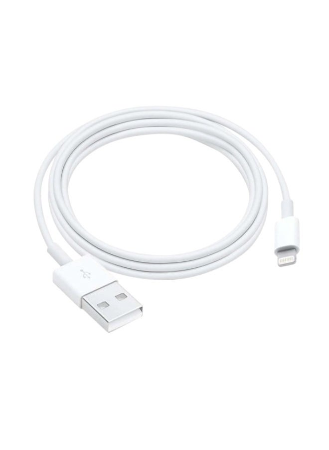 Flyview - iPhone Charger, [Apple MFi Certified] 1M USB to Lightning Cable Power Fast Charging Cord Compatible with iPhone 14/13/12/11 Pro Max/XS MAX/XR/XS/X/8/7/Plus/6S/6/SE/5S/iPad - Image 1
