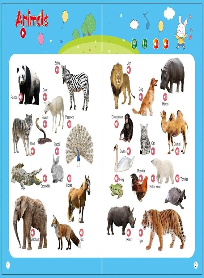 Crazy Buy E-Book The Best Gift for Children Interactive Learning - Come on Children Let's Study - English Alphabets, Simple Numbers, Animals, Rhymes and Many More - Image 3