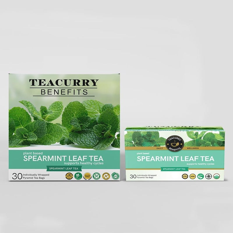 TEACURRY Spearmint Leaf Tea - 30 Tea Bags - Image 5